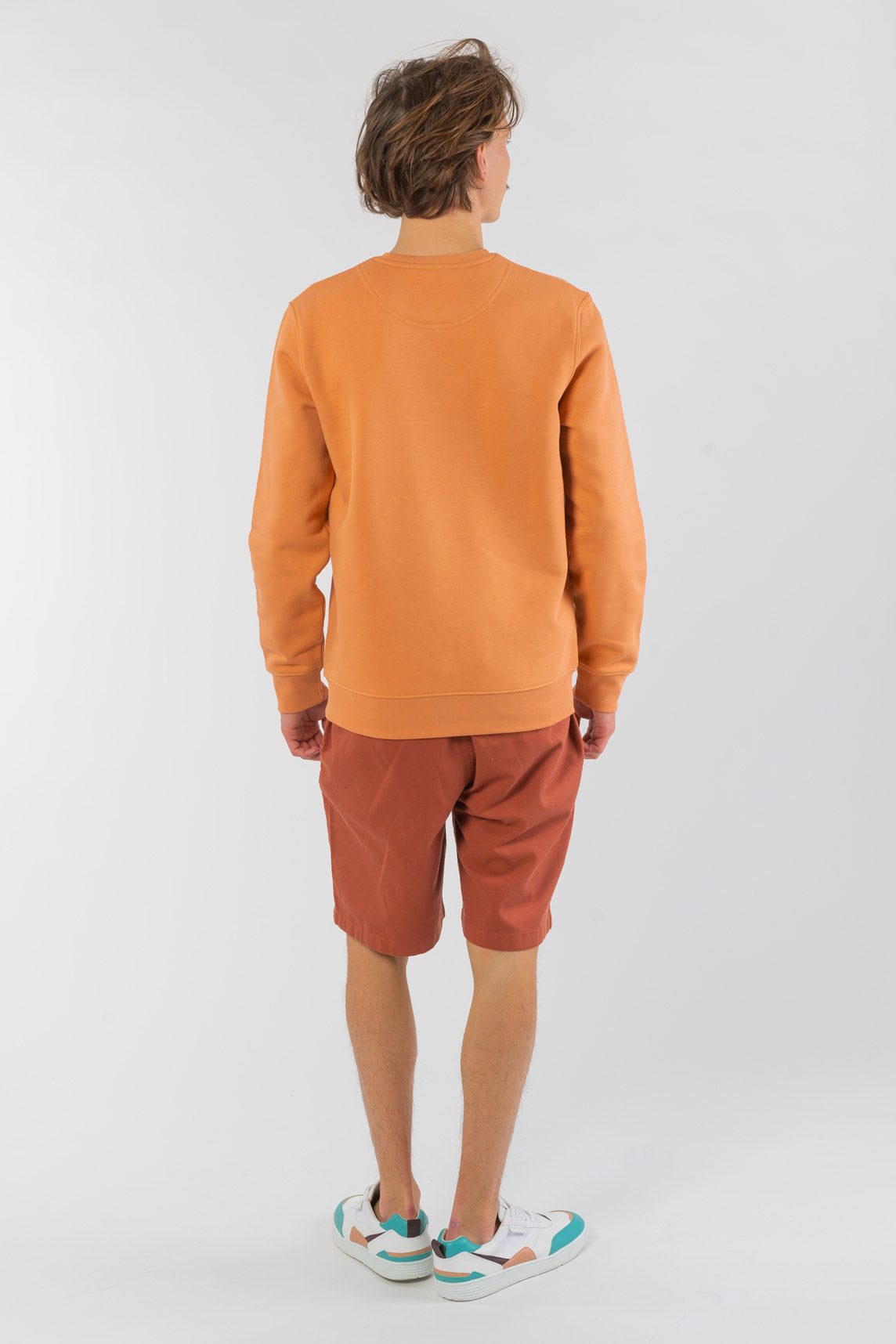 M-STSU823-Standard-Sweatshirt-aus-Bio-Baumwolle-Bio-Faire-Kleidung-Herren-TITULUS-Mushroom-Vorne1