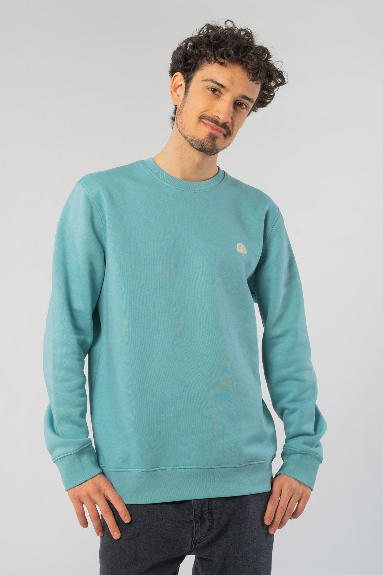 M-STSU823-Standard-Sweatshirt-aus-Bio-Baumwolle-Bio-Faire-Kleidung-Herren-TITULUS-Teal-Monstera-Vorne2