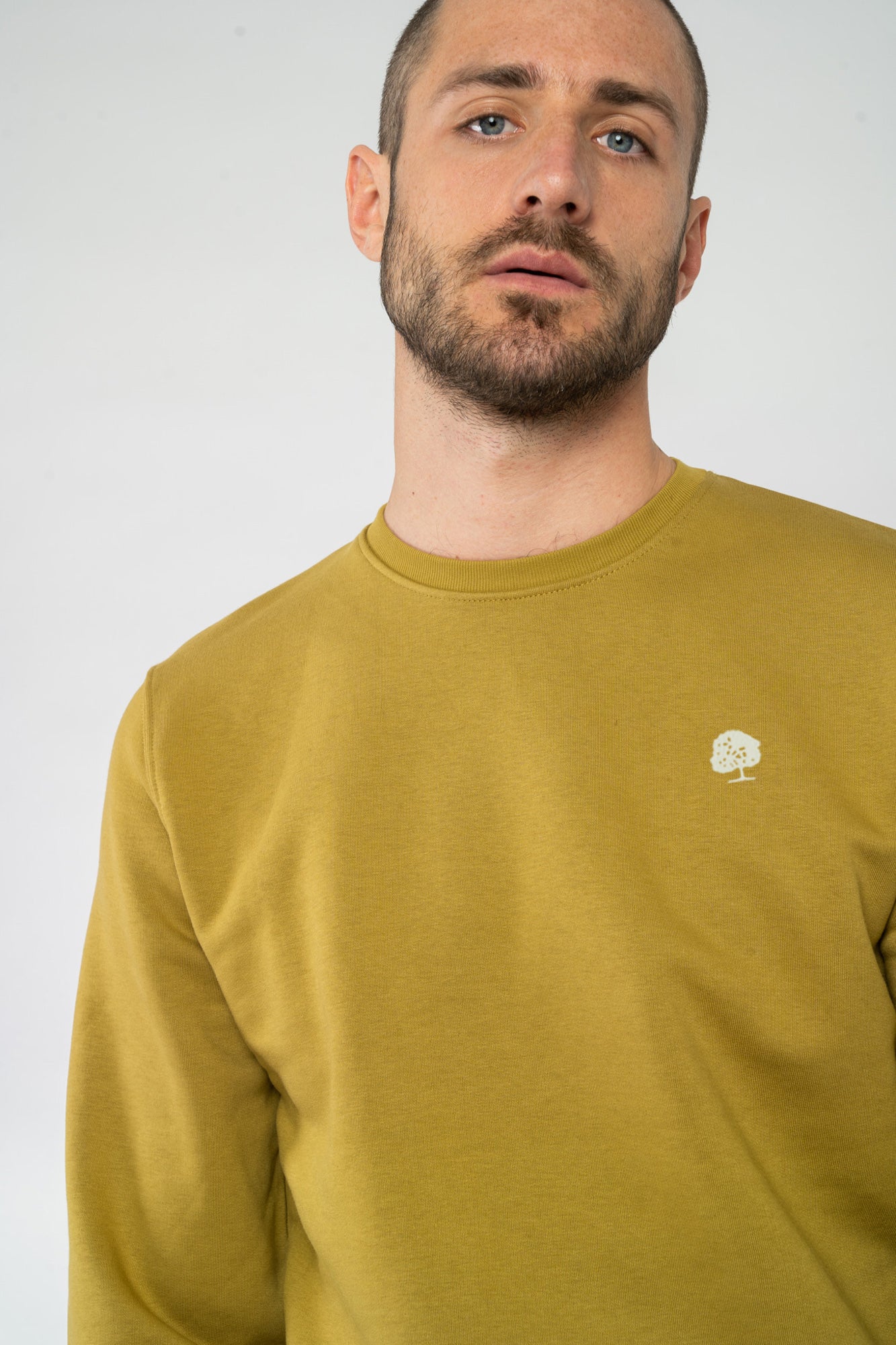 M-STSU823-Sweatshirt-Olive-Oil-Detail