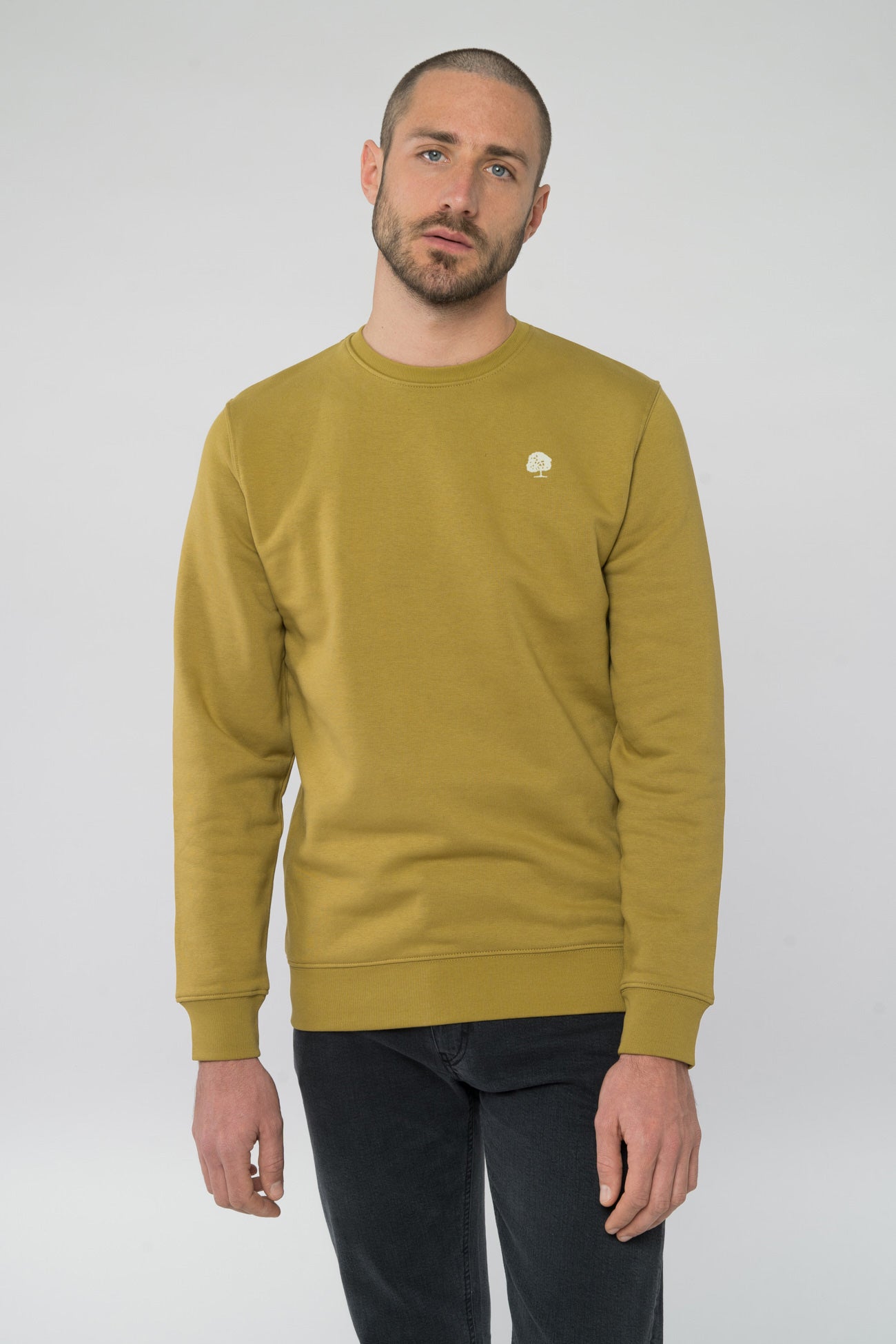 M-STSU823-Sweatshirt-Olive-Oil-Vorne