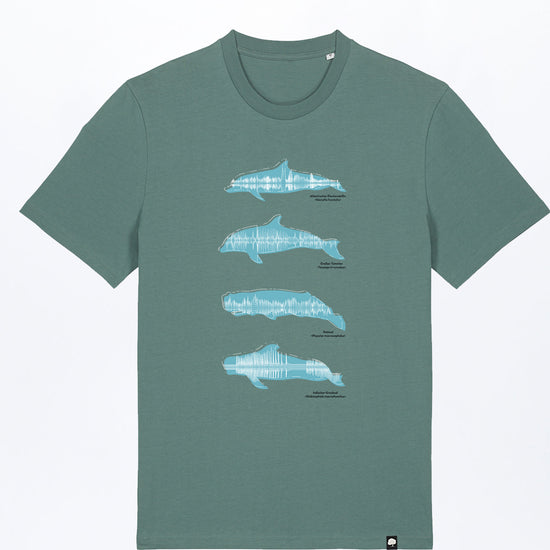 M-STTU169-T-Shirt-aus-Bio-Baumwolle-mit-Druck-Sound-of-of-the-ocean-Green-Bay