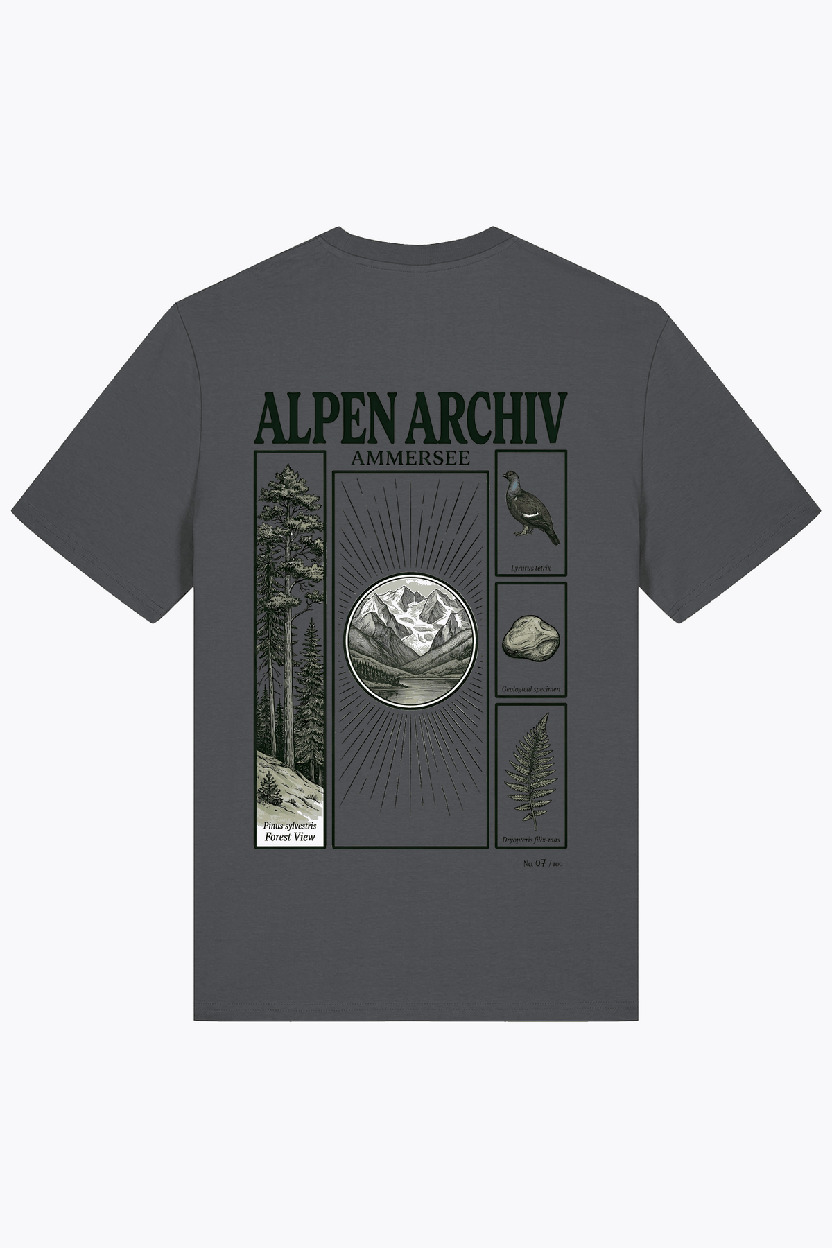 Herren-T-Shirt Alpen Archiv mit großem Ammersee-Print, dunkel anthrazit