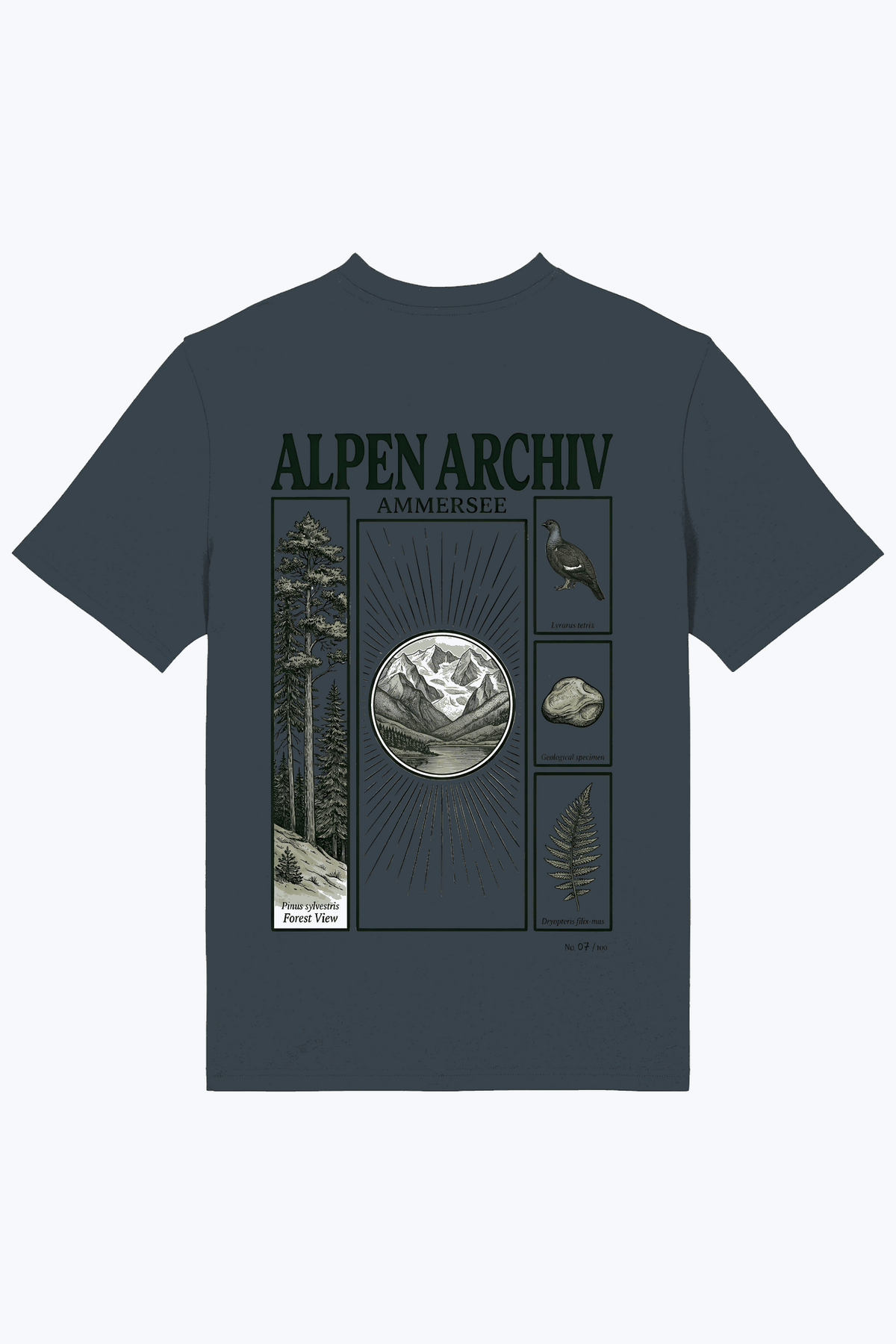 Herren-T-Shirt Alpen Archiv mit Ammersee-Frontprint, dunkelblau-grau