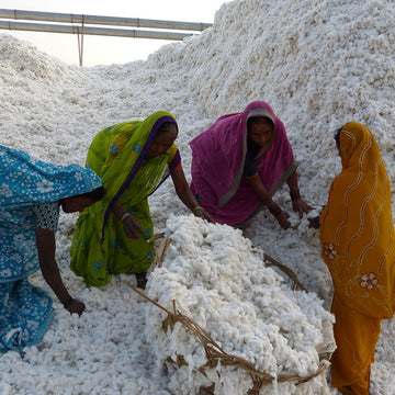 <strong>Zero tolerance policy</strong> for Fair Trade clothing