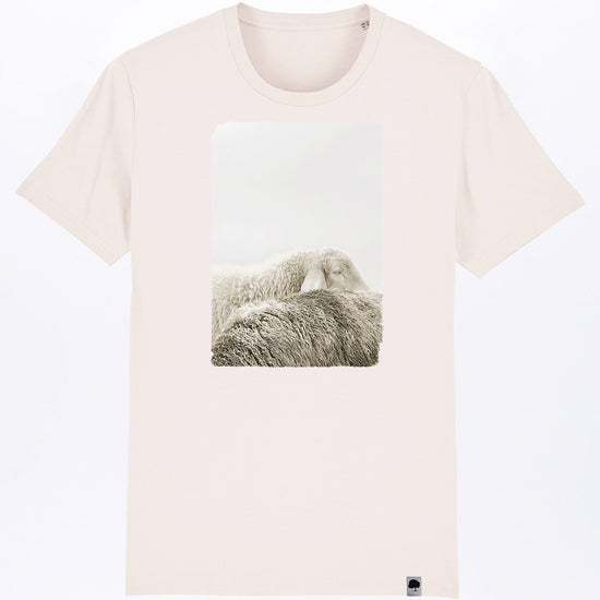 ghost-sheep-03
