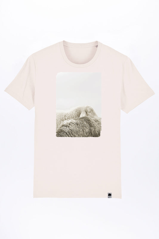 ghost-sheep-03