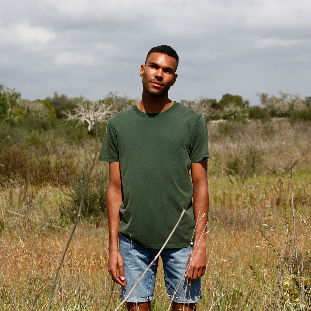 <strong>Basic T-Shirts Herren</strong>