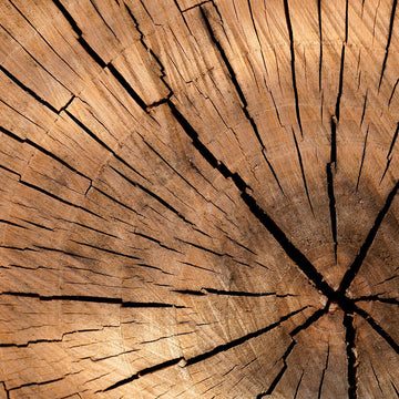 Why <strong>wood</strong> instead of cotton?