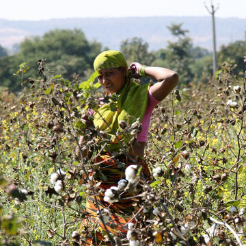 Fair Trade guarantees <strong>better working conditions</strong>