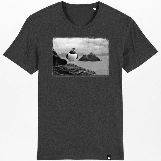 puffin-03