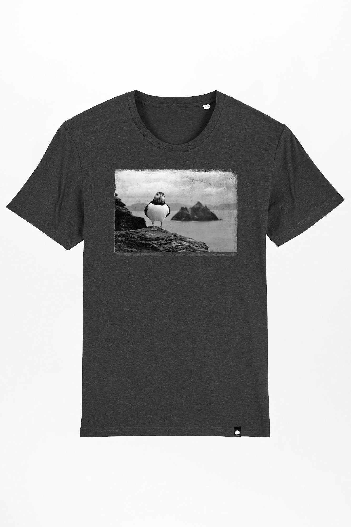 puffin-03