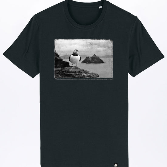 puffin-04