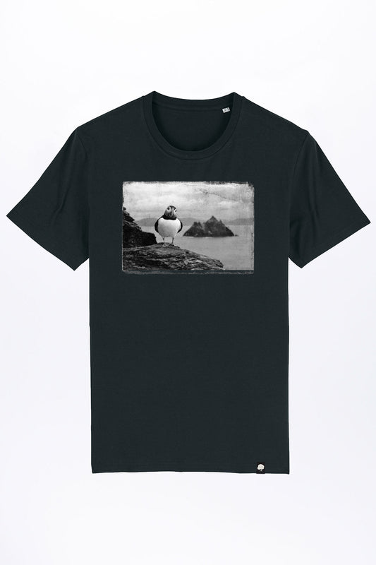 puffin-04