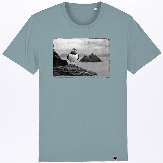 puffin-05