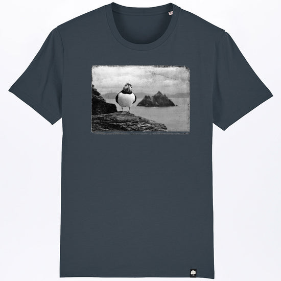 puffin-06