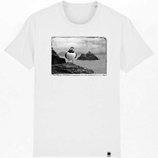 puffin-07