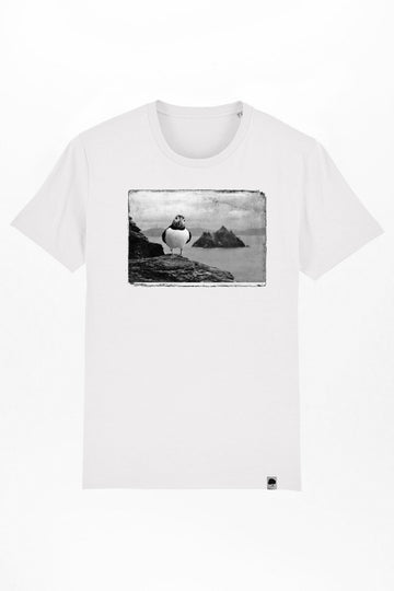puffin-07