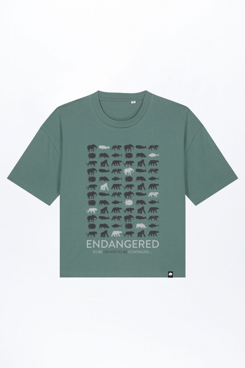 Women's Circle Boxy Fit T-Shirt out of Organic Cotton