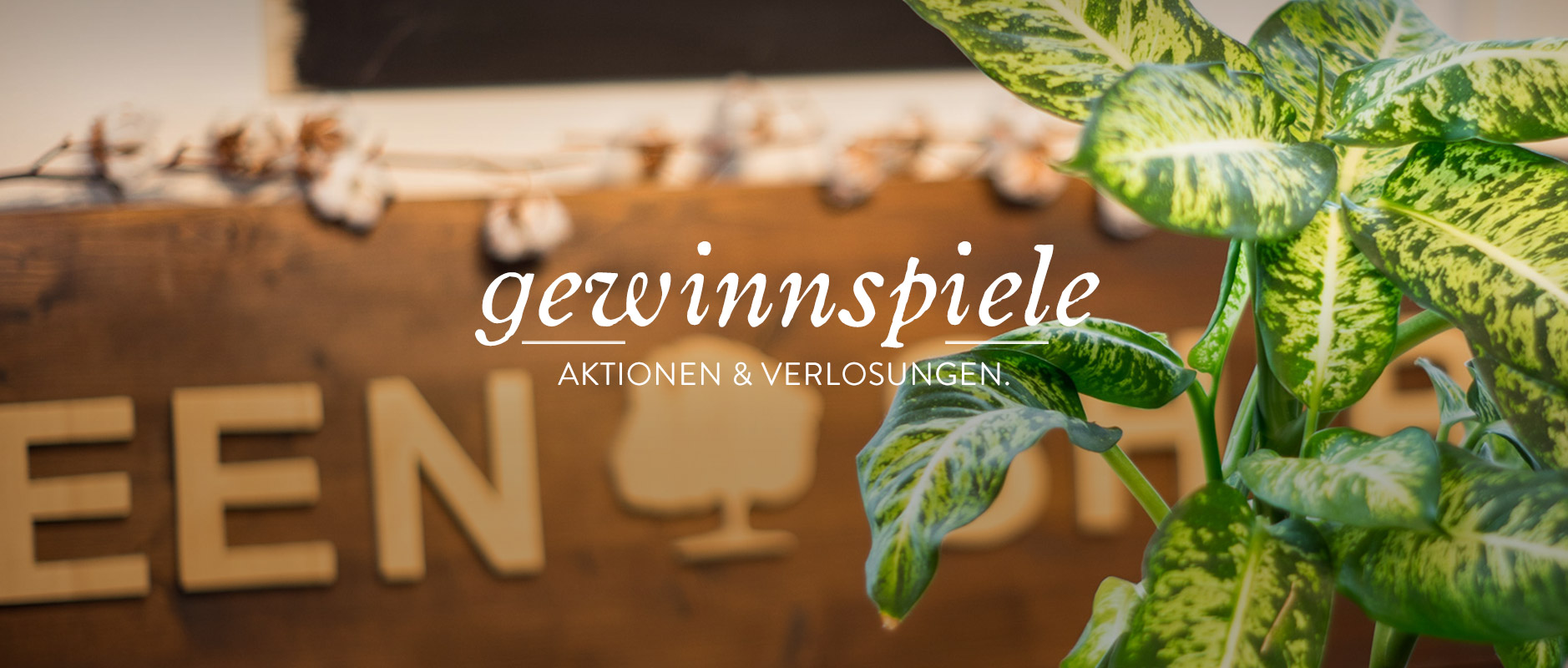 Gewinnspiele Aktionen Bio Faire Mode