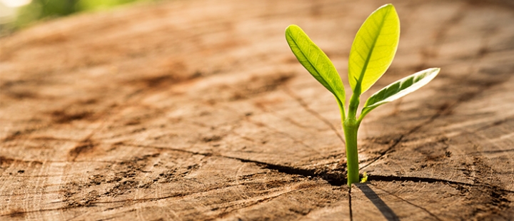 Warum-nachhaltige-mode-fair-fashion-Green-Shirts-Blog