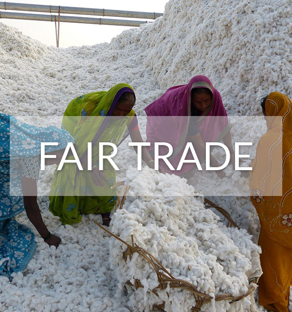 Fair Trade Clothing Certificate