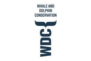 t-shirts-taschen-oeko-druck-referenz-whale-dolphin-conversation-wdc